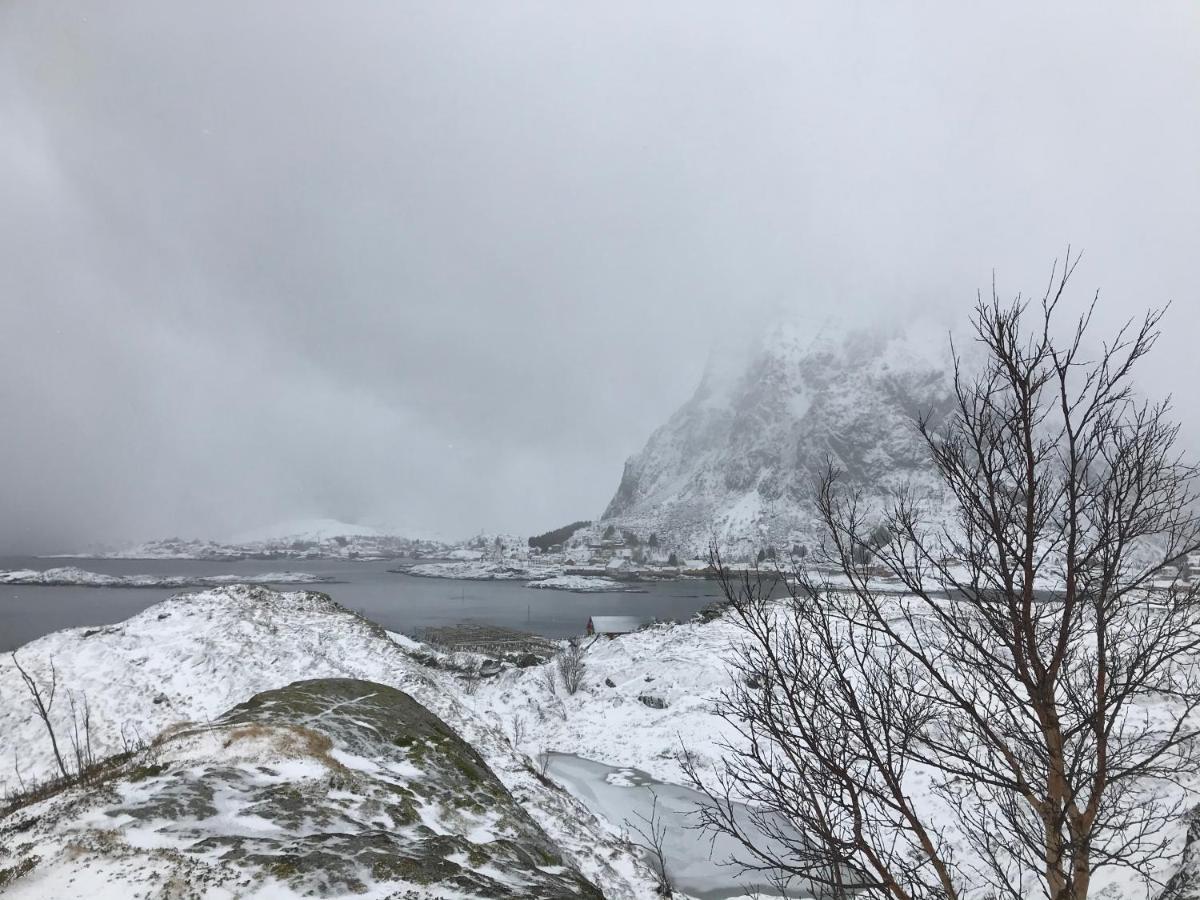 Høvesbua Rorbu - Fisherman Cabin Villa Sørvågen Bagian luar foto